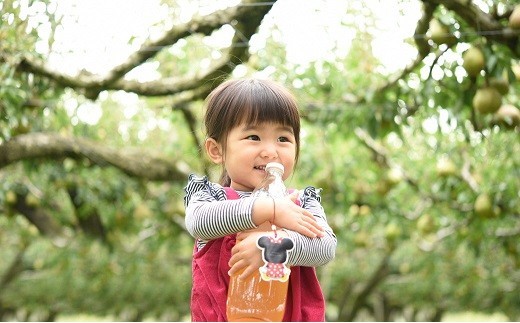 完熟りんご ＆ ラ・フランスジュース セット [100%果汁] 1000ml×3本 『旬の果実 佐藤市右衛門農園』 山形県 南陽市 [1966]