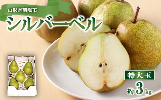 特大玉 シルバーベル 約3kg (4～5玉 特秀) 『田中農園』 西洋梨 洋なし 果物 フルーツ 山形県 南陽市 [2626]
