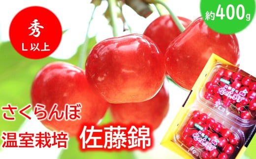 【令和8年産先行予約】 温室さくらんぼ 「佐藤錦」 約400g (秀 L以上) フードパック詰め 《令和8年5月下旬～発送》 『松田観光果樹園』 サクランボ 生産農家直送 温室栽培 果物 フルーツ デザート 先行予約 山形県 南陽市 [2618]