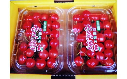 【令和8年産先行予約】 温室さくらんぼ 「佐藤錦」 約400g (秀 L以上) フードパック詰め 《令和8年5月下旬～発送》 『松田観光果樹園』 サクランボ 生産農家直送 温室栽培 果物 フルーツ デザート 先行予約 山形県 南陽市 [2618]