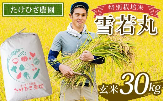 令和7年産 特別栽培米 雪若丸 (玄米) 30kg 『たけひさ農園』 山形南陽産 米 ご飯 農家直送 山形県 南陽市 [2367]
