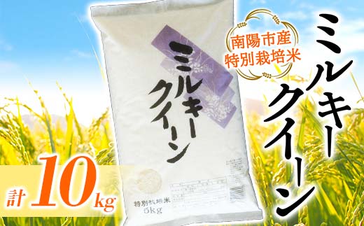【金賞受賞農家】 令和7年産 特別栽培米 ミルキークイーン 計10kg (5kg×2袋) 『あおきライスファーム』 山形南陽産 米 白米 精米 ご飯 農家直送 山形県 南陽市 [2409]