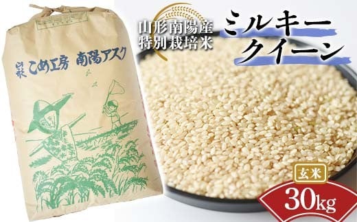 【金賞受賞農家】 令和7年産 特別栽培米 ミルキークイーン (玄米) 30kg 『あおきライスファーム』 山形南陽産 米 ご飯 農家直送 山形県 南陽市 [2424]