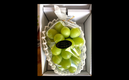 【令和8年産先行予約】 【最優秀賞W受賞農家】 冬のシャインマスカット 約700g (1房 秀) 《令和8年12月上旬～発送》 『生産者 佐藤 大輔』 ぶどう 山形県 南陽市 [2237-R8]