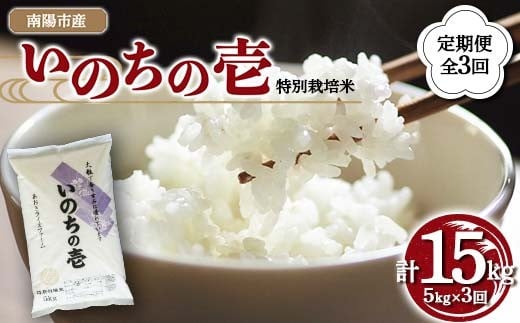 【金賞受賞農家】 《定期便3回》 令和7年産 特別栽培米 いのちの壱 5kg×3か月 『あおきライスファーム』 山形南陽産 米 白米 精米 ご飯 農家直送 山形県 南陽市 [1616]