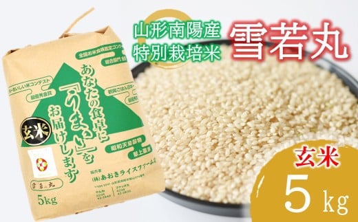 【金賞受賞農家】 令和7年産 特別栽培米 雪若丸 (玄米) 5kg 『あおきライスファーム』 山形南陽産 米 ご飯 農家直送 山形県 南陽市 [2631]