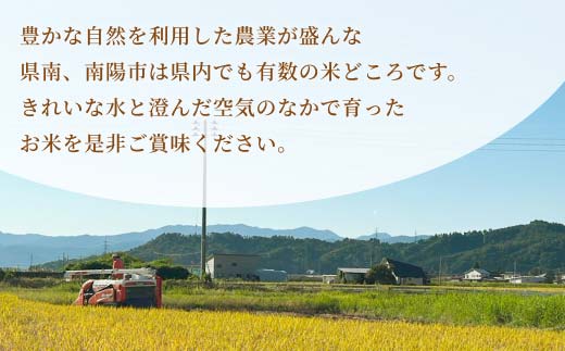 令和7年産 はえぬき (精米) 20kg×1袋 『山形県南ファーム』 米 白米 ご飯 農家直送 山形県 南陽市 [2565]
