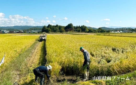 令和7年産 はえぬき (精米) 10kg (5kg×2袋) 『山形県南ファーム』 米 白米 ご飯 農家直送 山形県 南陽市 [2564]
