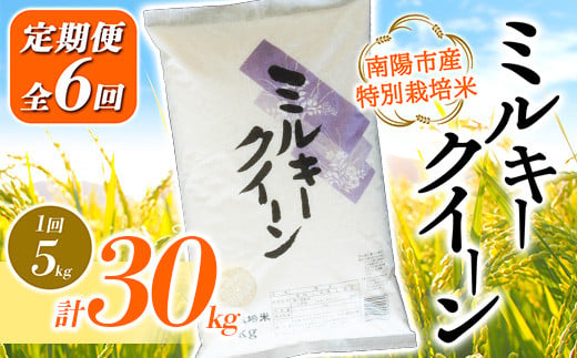 【金賞受賞農家】 《定期便6回》 令和7年産 特別栽培米 ミルキークイーン 5kg×6か月 『あおきライスファーム』 山形南陽産 米 白米 精米 ご飯 農家直送 山形県 南陽市 [1614]