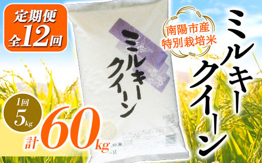 【金賞受賞農家】 《定期便12回》 令和7年産 特別栽培米 ミルキークイーン 5kg×12か月 『あおきライスファーム』 山形南陽産 米 白米 精米 ご飯 農家直送 山形県 南陽市 [1615]