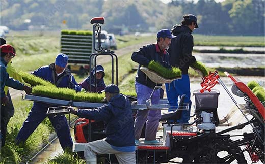 【金賞受賞農家】 《定期便6回》 令和7年産 特別栽培米 ミルキークイーン 計10kg(5kg×2袋)×6か月 『あおきライスファーム』 山形南陽産 精米 ご飯 農家直送 山形県 南陽市 [2416]