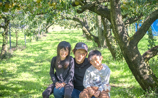 【令和8年産先行予約】 【ネオニコフリー】 大玉 ラ・フランス 約3kg (8～10玉 特秀 3～5L) 《令和8年11月上旬～発送》 『遠藤果樹農園』 山形県 南陽市 [1060-R8]