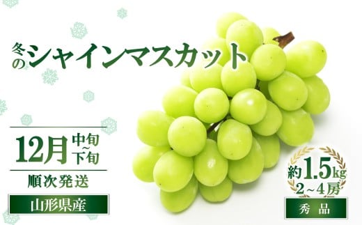 【令和8年産先行予約】 JA 冬のシャインマスカット 約1.5kg (2～4房 秀) 《令和8年12月中旬～下旬発送》 『JA山形おきたま』 マスカット ぶどう 果物 山形県 南陽市 [821-R8]