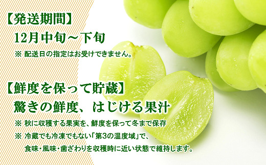 【令和8年産先行予約】 JA 冬の高級ぶどう 「シャインマスカット ＋ おすすめぶどう (ウィンク等) 」 約1.3kg (計2～3房 秀) 『JA山形おきたま』 [2056-R8]