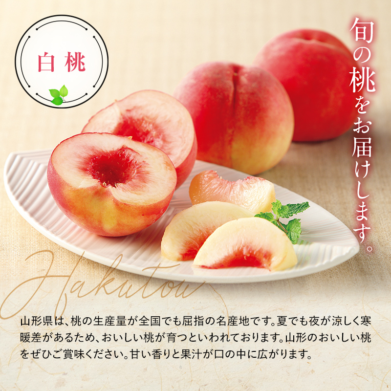 【令和8年産先行予約】 硬めの白桃 約5kg (8～22玉 秀) 《令和8年8月下旬～10月上旬発送》 『フードシステムズ』 モモ 果物 フルーツ 山形県 南陽市 [1387]