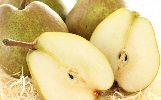 【令和8年産先行予約】 ラ・フランス 約3kg (6～14玉 秀) 《令和8年10月下旬～11月下旬発送》 『フードシステムズ』 ラフランス 西洋梨 洋なし 果物 山形県 南陽市 [848-R8]