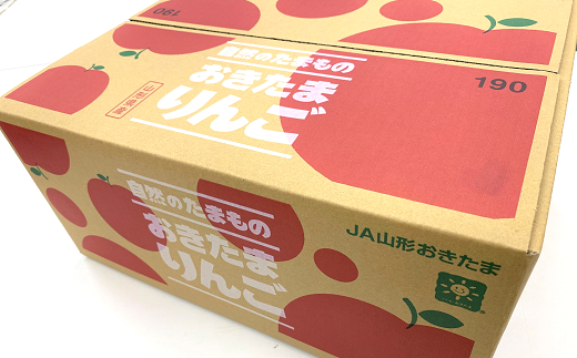 【令和8年産先行予約】 〈訳あり品 家庭用〉 JA りんご 「サンふじ」 約10kg (28～46玉) 《令和8年11月中旬～12月中旬発送》 『JA山形おきたま』 林檎 リンゴ 果物 フルーツ 山形県 南陽市 [1410-R8]