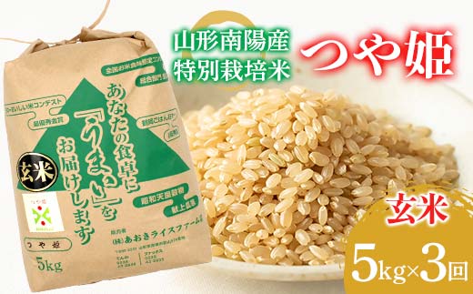 【金賞受賞農家】 《定期便3回》 令和7年産 特別栽培米 つや姫 (玄米) 5kg×3か月 『あおきライスファーム』 山形南陽産 米 玄米 ご飯 農家直送 山形県 南陽市 [2628]