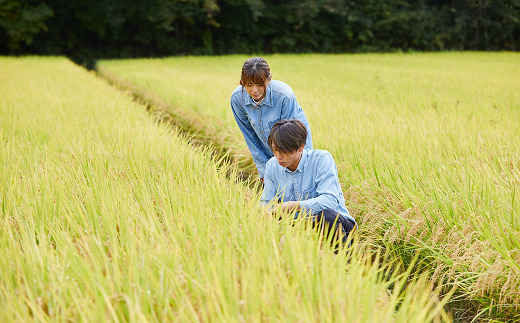 令和7年産 特別栽培米 つや姫 計10kg (5kg×2袋) 『平農園』 山形南陽産 米 白米 精米 ご飯 農家直送 山形県 南陽市 [2041]