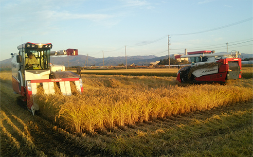 【令和8年産 新米 先行予約】 《定期便6回》 はえぬき (精米) 5kg×6か月 《令和8年10月上旬～発送》 『田口農園』 山形南陽産 米 白米 ご飯 農家直送 山形県 南陽市 [2662-R8]