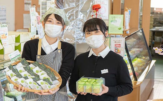 だだちゃどら焼き 10個入 『じんだん本舗大江』 スイーツ 菓子 ずんだ 山形県 南陽市 [1733]
