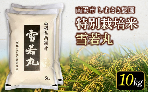 【米食味コンクール金賞受賞農園】令和7年産 特別栽培米 雪若丸 10kg (5kg×2袋) 『しまさき農園』 山形南陽産 米 白米 精米 ご飯 農家直送 山形県 南陽市 [2661]