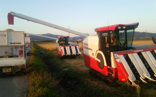 【令和8年産 新米 先行予約】 《定期便6回》 特別栽培米 つや姫 (精米) 5kg×6か月 《令和8年10月上旬～発送》 『田口農園』 山形南陽産 米 白米 ご飯 農家直送 山形県 南陽市 [1933-R8]