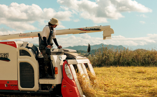 令和7年産 特別栽培米 つや姫 (精米) 5kg 『最上園』 米 白米 ご飯 農家直送 山形県 南陽市 [1678]