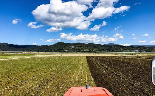 令和7年産 はえぬき (精米) 10kg 『最上園』 米 白米 ご飯 農家直送 山形県 南陽市 [1978]
