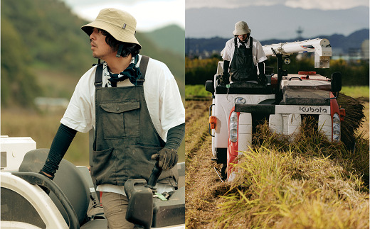 令和7年産 はえぬき (玄米) 10kg 『最上園』 米 ご飯 農家直送 山形県 南陽市 [2180]