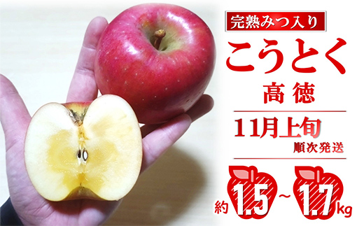 【令和8年産先行予約】 完熟みつ入り こうとく(高徳) 約1.5～1.7kg (6～9玉) 《令和8年11月上旬～発送》 【全国りんご選手権 銀賞】 『船中農園』フードパック 林檎 りんご リンゴ 山形県 南陽市 [2666]