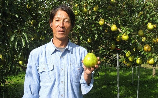 【令和8年産先行予約】 〈訳あり品 家庭用〉 ラ・フランス 約5kg (14～18玉 2～4L) 《令和8年11月中旬～発送》 『寿農園』山形県 南陽市 [1056]