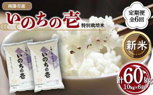 【令和8年産 新米 先行予約】 【金賞受賞農家】 《定期便6回》 特別栽培米 いのちの壱 計10kg(5kg×2袋)×6か月 《令和8年10月中旬～発送》 『あおきライスファーム』 [2669-R8]
