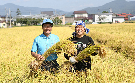 【令和8年産 新米 先行予約】 【金賞受賞農家】 《定期便3回》 特別栽培米 雪若丸 5kg×3か月 《令和8年9月下旬～発送》 『あおきライスファーム』 [1610-R8]
