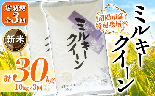 【令和8年産 新米 先行予約】【金賞受賞農家】 《定期便3回》 特別栽培米 ミルキークイーン 計10kg(5kg×2袋)×3か月 《令和8年9月下旬～発送》 『あおきライスファーム』[2410-R8]
