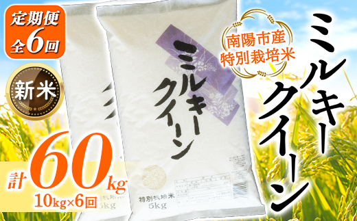 【令和8年産 新米 先行予約】【金賞受賞農家】 《定期便6回》 特別栽培米 ミルキークイーン 計10kg(5kg×2袋)×6か月 《令和8年9月下旬～発送》 『あおきライスファーム』[2416-R8]
