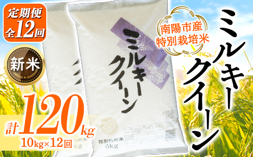 【令和8年産 新米 先行予約】【金賞受賞農家】《定期便12回》 特別栽培米 ミルキークイーン 計10kg(5kg×2袋)×12か月《令和8年9月下旬～発送》 『あおきライスファーム』[2417-R8]
