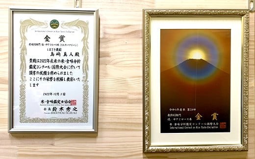 【令和8年産 新米 先行予約】 【米食味コンクール金賞受賞農園】 《定期便12回》 特別栽培米 ミルキークイーン 5kg×12か月 (計60kg) 《令和8年10月中旬～発送》 『しまさき農園』 山形南陽産 米 白米 精米 ご飯 農家直送 山形県 南陽市 [2401-R8]