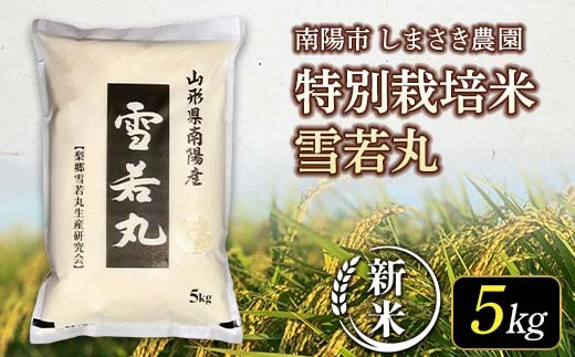 【令和8年産 新米 先行予約】 【米食味コンクール金賞受賞農園】 特別栽培米 雪若丸 5kg 《令和8年10月上旬～発送》 『しまさき農園』 山形南陽産 米 白米 精米 ご飯 農家直送 山形県 南陽市 [2555-R8]