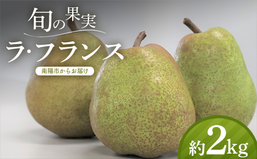 【令和8年産先行予約】 十三代目 佐藤市右衛門 ラ・フランス 約2kg (6～8玉 秀 2～4L) 《令和8年11月上旬～発送》 『旬の果実 佐藤市右衛門農園』 ラフランス 西洋梨 洋なし 果物 フルーツ デザート 山形県 南陽市 [1967]