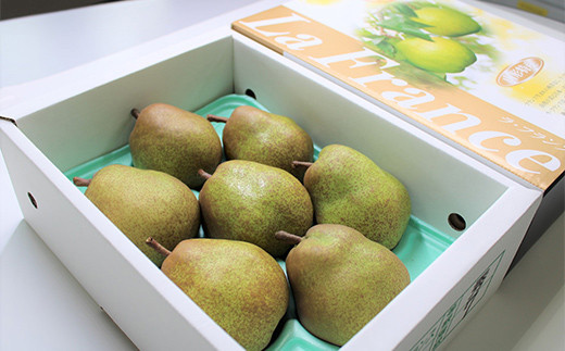 【令和8年産先行予約】 十三代目 佐藤市右衛門 ラ・フランス 約2kg (6～8玉 秀 2～4L) 《令和8年11月上旬～発送》 『旬の果実 佐藤市右衛門農園』 ラフランス 西洋梨 洋なし 果物 フルーツ デザート 山形県 南陽市 [1967]