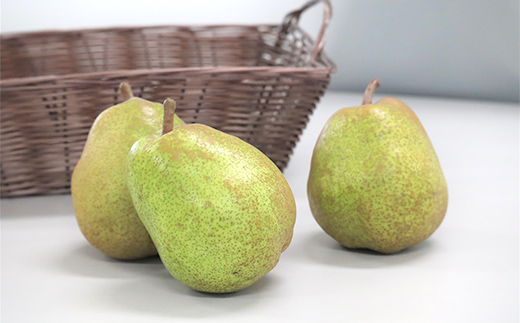 【令和8年産先行予約】 十三代目 佐藤市右衛門 ラ・フランス 約2kg (6～8玉 秀 2～4L) 《令和8年11月上旬～発送》 『旬の果実 佐藤市右衛門農園』 ラフランス 西洋梨 洋なし 果物 フルーツ デザート 山形県 南陽市 [1967]