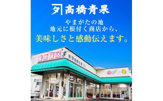 【令和8年産先行予約】 〈訳あり品 家庭用〉 りんご 「サンふじ」 約5kg バラ詰め 《令和8年12月上旬～令和9年2月下旬発送》 『カネタ高橋青果』 リンゴ 山形県 南陽市 [1958]