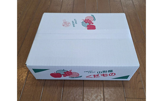 【令和8年産先行予約】 〈訳あり品 家庭用〉 ラ・フランス 約3kg (9～13玉) 《令和8年11月中旬～発送》 『カネタ高橋青果』 ラフランス 果物 フルーツ 山形県 南陽市 [2274]