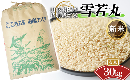 【令和8年産 新米 先行予約】 【金賞受賞農家】 特別栽培米 雪若丸 （玄米） 30kg 《令和8年9月下旬～発送》 『あおきライスファーム』 山形南陽産 米 ご飯 農家直送 山形県 南陽市 [2601-R8]