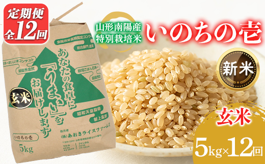 【令和8年産 新米 先行予約】 【金賞受賞農家】 《定期便12回》 特別栽培米 いのちの壱 (玄米) 5kg×12か月 《令和8年10月中旬～発送》 『あおきライスファーム』 山形南陽産 米 ご飯 農家直送 山形県 南陽市 [2642-R8]