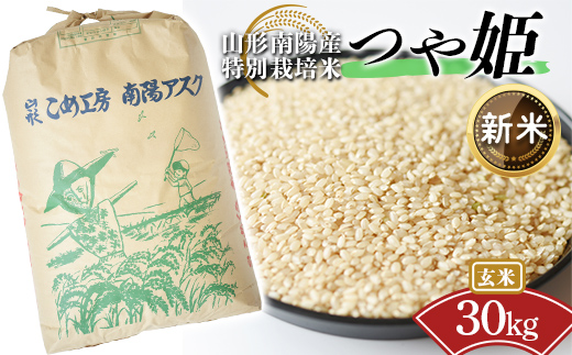 【令和8年産 新米 先行予約】 【金賞受賞農家】 特別栽培米 つや姫（玄米）30kg 《令和8年9月下旬～発送》 『あおきライスファーム』 山形南陽産 米 ご飯 農家直送 山形県 南陽市 [2425-R8]