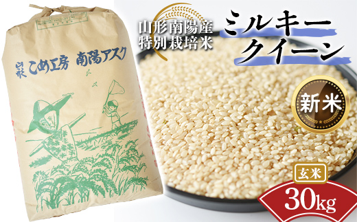 【令和8年産 新米 先行予約】 【金賞受賞農家】 特別栽培米 ミルキークイーン（玄米）30kg 《令和8年9月下旬～発送》 『あおきライスファーム』 山形南陽産 米 ご飯 農家直送 山形県 南陽市 [2424-R8]