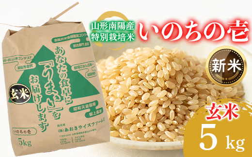 【令和8年産 新米 先行予約】 【金賞受賞農家】 特別栽培米 いのちの壱 (玄米) 5kg 《令和8年10月中旬～発送》 『あおきライスファーム』 山形南陽産 米 ご飯 農家直送 山形県 南陽市 [2639-R8]
