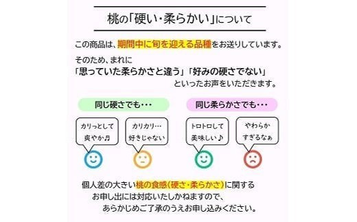 【令和8年産先行予約】 《定期便5回》 JA 夏秋冬美味フルーツ定期便 『JA山形おきたま』 山形県 南陽市 [1491]